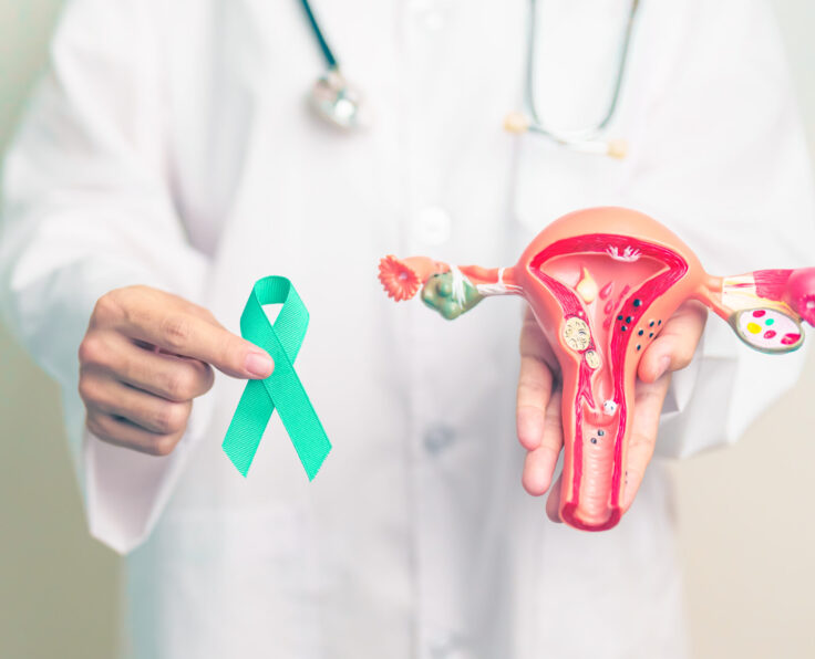 Doctor holding Teal ribbon with Uterus and Ovaries model for January Cervical Cancer Awareness month. Cervix, Endometriosis, Hysterectomy, Uterine, Reproductive, Healthcare and World cancer day